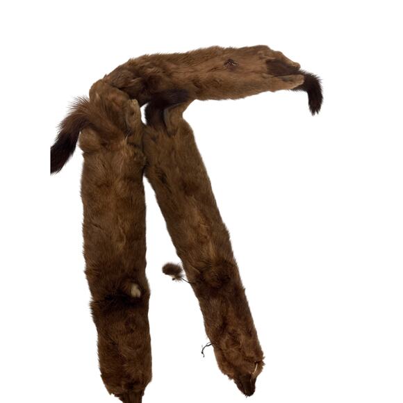 Wild Mink Pelts - Head, Legs, Tail Intact - Set of 3 - Picture 4 of 6